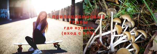 прущие грибы Кулебаки