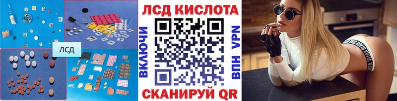 как найти закладки  Сураж  LSD-25 экстази ecstasy 